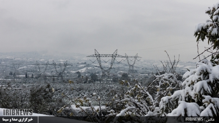 عکس:جواد مظفری سوادکوهی