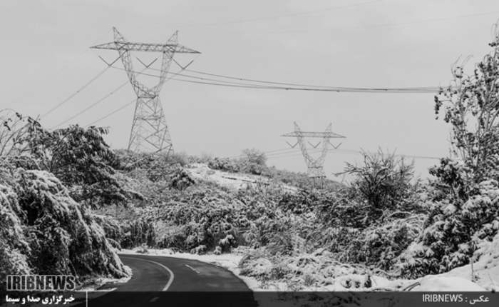 عکس:جواد مظفری سوادکوهی