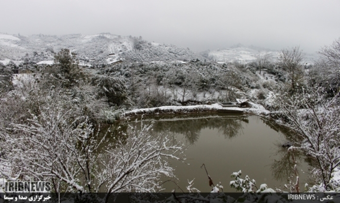 عکس:جواد مظفری سوادکوهی